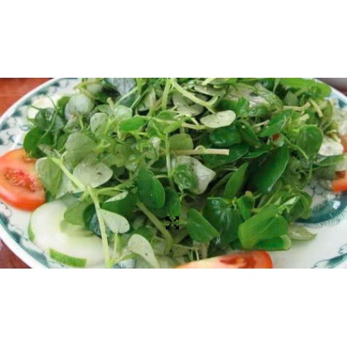  Rau Càng Cua Trộn Dầu Giấm